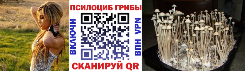 Псилоцибиновые грибы GOLDEN TEACHER  hydra вход  Видное 